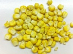 Freeze Dried Sweet Corn