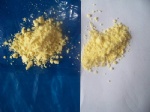 Freeze Dried Sweet Corn Powder