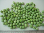 Freeze Dried Green Pea